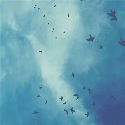 买球的app排行榜前十名推荐手机app下载