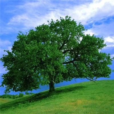 江南娱乐在线登录