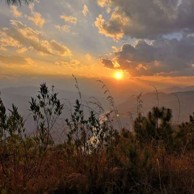 开云app手机版下载