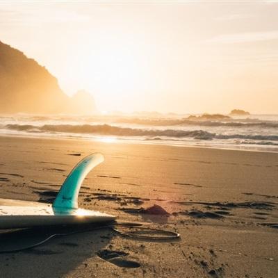 bsport体育在线登录下载手机版