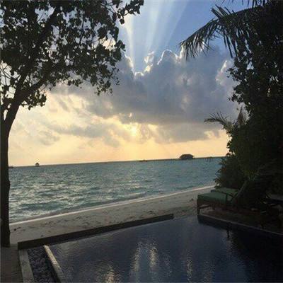 利发app手机登陆