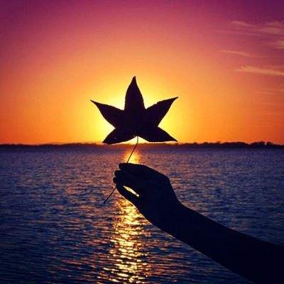 leyu乐鱼·体育手机app下载