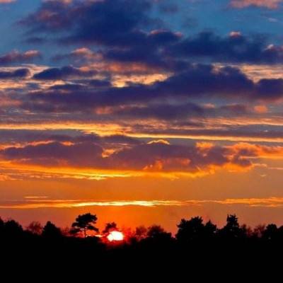 环球体育登录平台截图