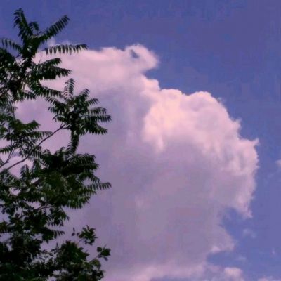 BOB体育综合官方平台官网App