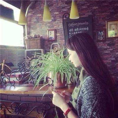 bb平台体育app官网